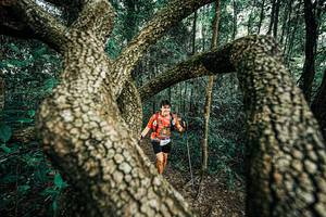 BIB: 
                            <button type="button" onclick="openModal(25394330)" class="btn btn-primary btn-sm float-right btn-popup" data-toggle="modal" data-target=".modal-high-quality">
                        <i class="fas fa-shopping-cart"></i> Add to Cart
                    </button>
                                            <button type="button" onclick="isThisMe(25394330, true)" class="btn btn-success btn-sm float-right btn-popup btn-isme hidden" data-toggle="tooltip" data-placement="bottom" title="นี่คือรูปของคุณใช่ไหม คลิกที่นี่เพื่อเอาเข้าอัลบั้ม">
                        <i class="fas fa-plus"></i> Add to album
                    </button>
                    <button type="button" onclick="isThisMe(25394330, false)" class="btn btn-warning btn-sm float-right btn-popup btn-isnotme hidden">
                        <i class="fas fa-ban"></i> Remove from album
                    </button>